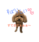 ppppp peach（個別スタンプ：1）