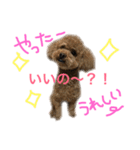 ppppp peach（個別スタンプ：2）