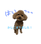 ppppp peach（個別スタンプ：3）