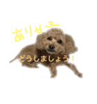 ppppp peach（個別スタンプ：5）