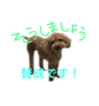 ppppp peach（個別スタンプ：6）
