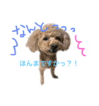 ppppp peach（個別スタンプ：7）