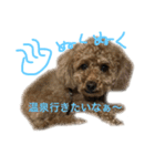 ppppp peach（個別スタンプ：9）