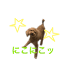 ppppp peach（個別スタンプ：10）