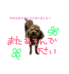 ppppp peach（個別スタンプ：12）