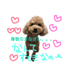 ppppp peach（個別スタンプ：13）
