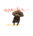 ppppp peach（個別スタンプ：14）