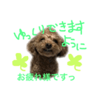 ppppp peach（個別スタンプ：16）