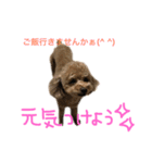 ppppp peach（個別スタンプ：17）