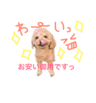 ppppp peach（個別スタンプ：18）