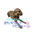 ppppp peach（個別スタンプ：19）