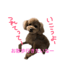 ppppp peach（個別スタンプ：20）