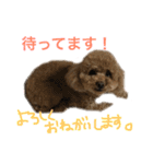 ppppp peach（個別スタンプ：22）