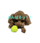 ppppp peach（個別スタンプ：23）