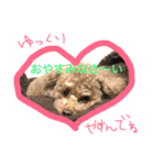 ppppp peach（個別スタンプ：24）