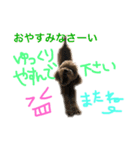 ppppp peach（個別スタンプ：25）
