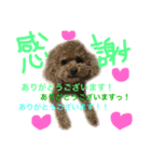 ppppp peach（個別スタンプ：26）