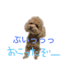 ppppp peach（個別スタンプ：27）