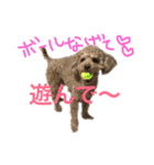 ppppp peach（個別スタンプ：28）