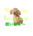 ppppp peach（個別スタンプ：29）