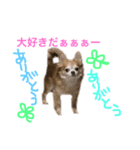 ppppp peach（個別スタンプ：31）
