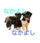 ppppp peach（個別スタンプ：33）