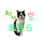 ppppp peach（個別スタンプ：34）