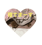 ppppp peach（個別スタンプ：38）