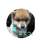 こてつっ（個別スタンプ：2）