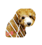 ぼく、うに。2（個別スタンプ：1）