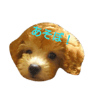 ぼく、うに。2（個別スタンプ：4）
