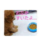ぼく、うに。2（個別スタンプ：9）
