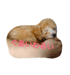 ぼく、うに。2（個別スタンプ：10）