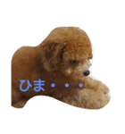 ぼく、うに。2（個別スタンプ：12）