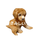 ぼく、うに。2（個別スタンプ：14）