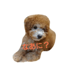 ぼく、うに。2（個別スタンプ：15）