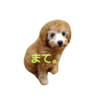 ぼく、うに。2（個別スタンプ：16）