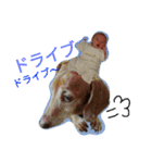 HiBiKi-（個別スタンプ：14）