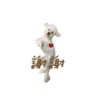 Q ni puppy life（個別スタンプ：3）