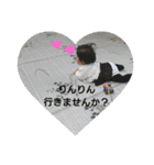 みおまるスタンプ（個別スタンプ：15）