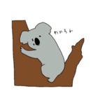 スピーディーコアラ（個別スタンプ：15）