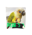 birdoflife（個別スタンプ：5）