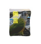 birdoflife（個別スタンプ：6）