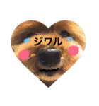 なっつふれんず  1（個別スタンプ：2）