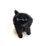 なっつふれんず  1（個別スタンプ：5）