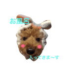 なっつふれんず  1（個別スタンプ：7）