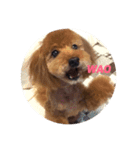 なっつふれんず  1（個別スタンプ：8）
