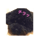 なっつふれんず  1（個別スタンプ：12）