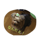 ジョイくんだよ〜（個別スタンプ：4）
