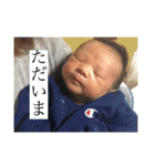 ウチん家の枢明くん（個別スタンプ：29）